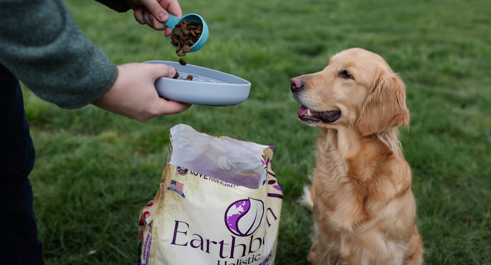 chia seeds, chia seeds for dogs, chia seeds for dogs benefits, chia seeds for dogs dosage per day, chia seeds for dogs how much